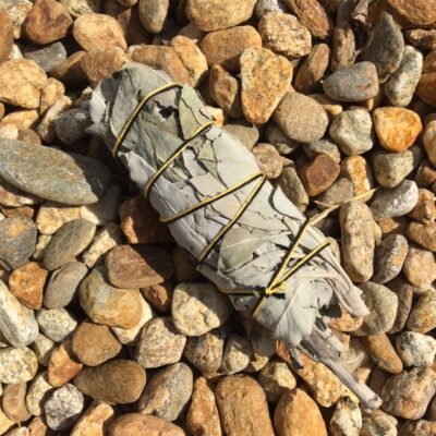 Medium White Sage Stick
